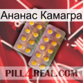 Ананас Камагра new10